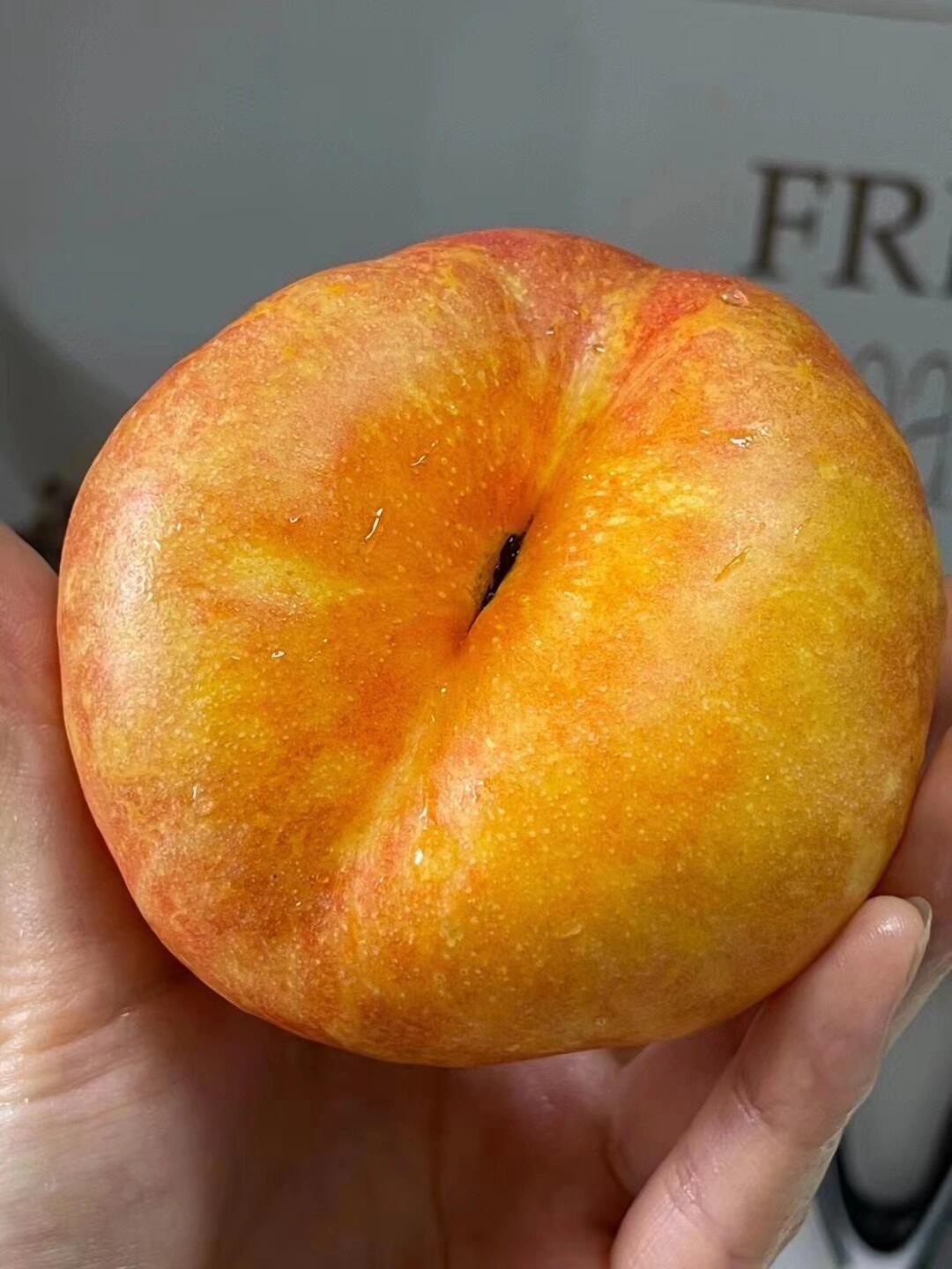 黄金油蟠桃🍑 它是真的好吃，甜度可达18 配图3