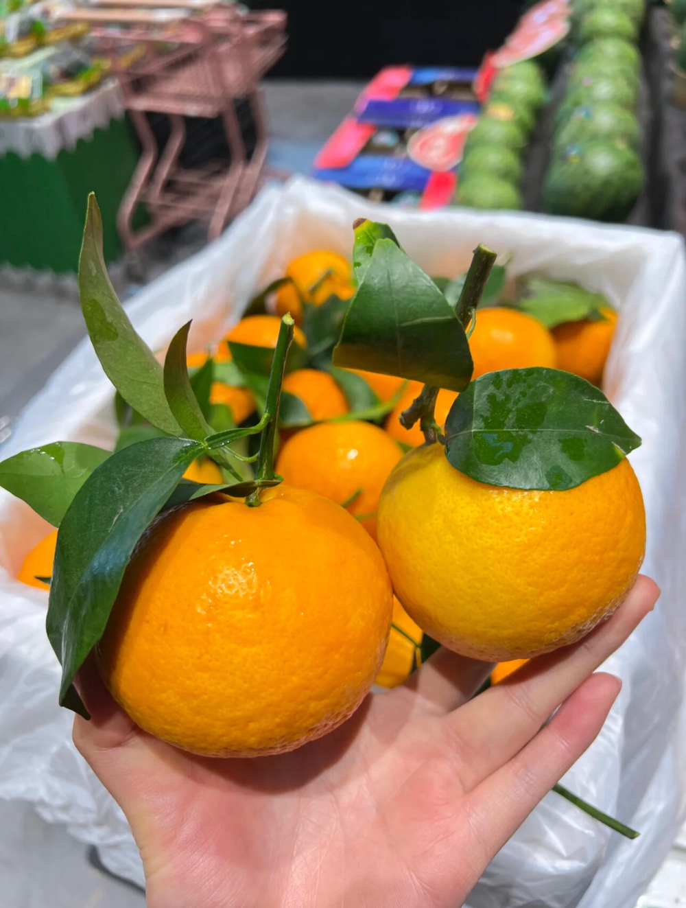 🍊🍊🍊明日见‼️柑橘中的爱马仕💎 皮薄， 配图1