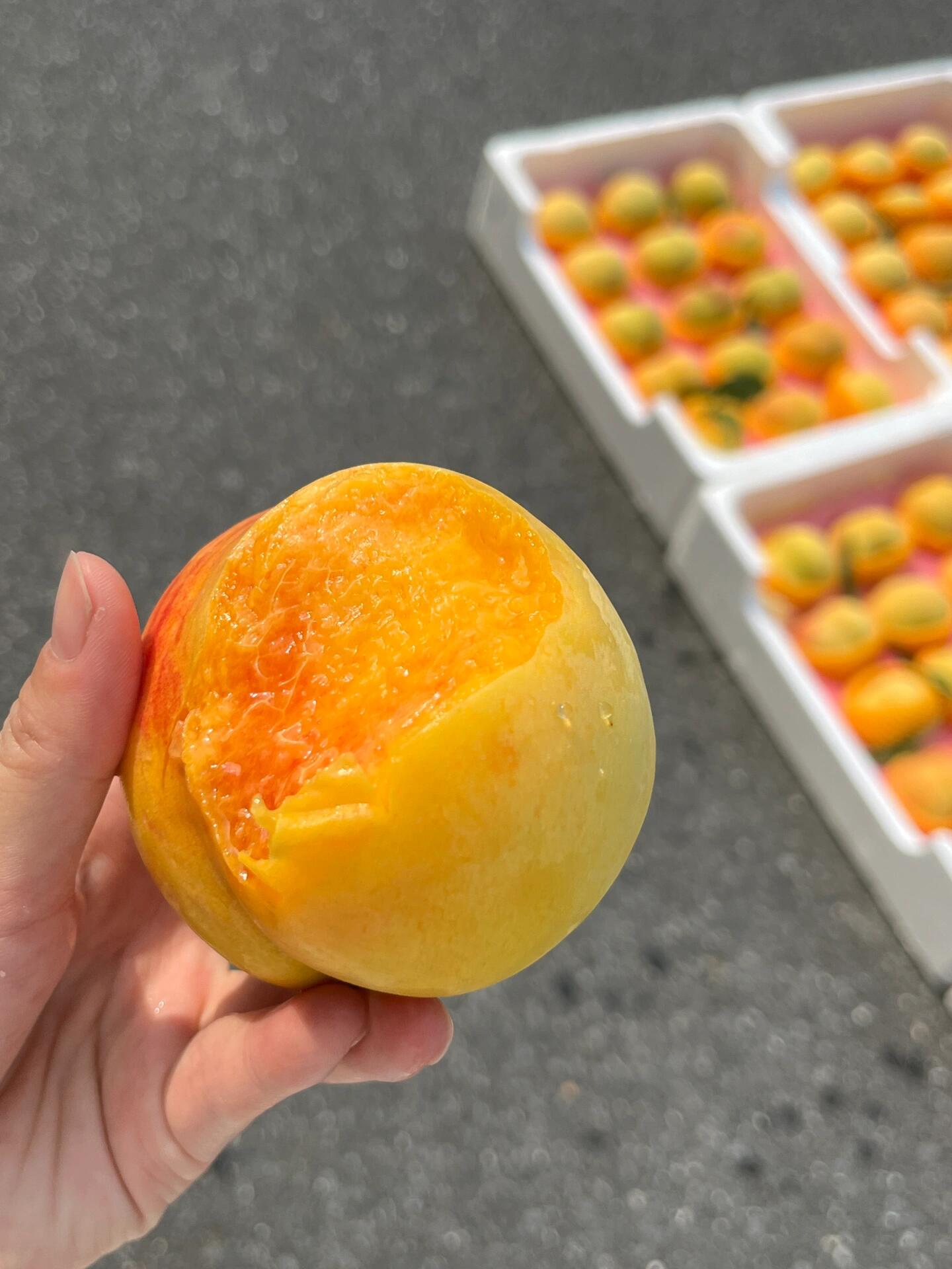 💛黄桃🍑新鲜到货🌱‼️‼️ 有着天下第一 配图1