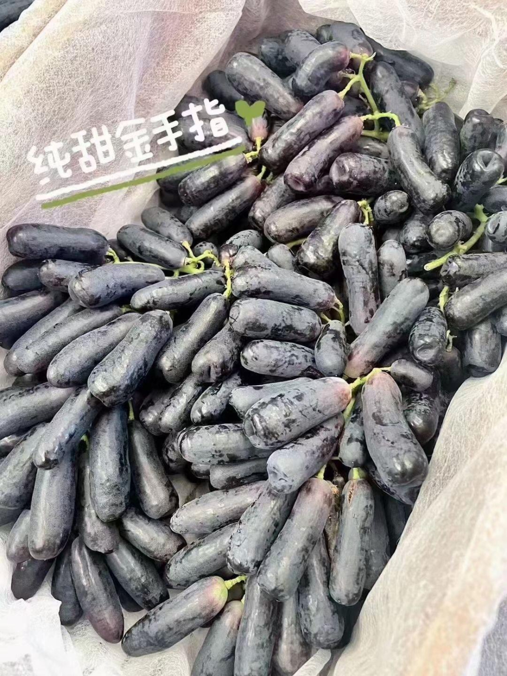 💚来自国内的月光之泪金手指🍇 ☀阳光下的 配图3