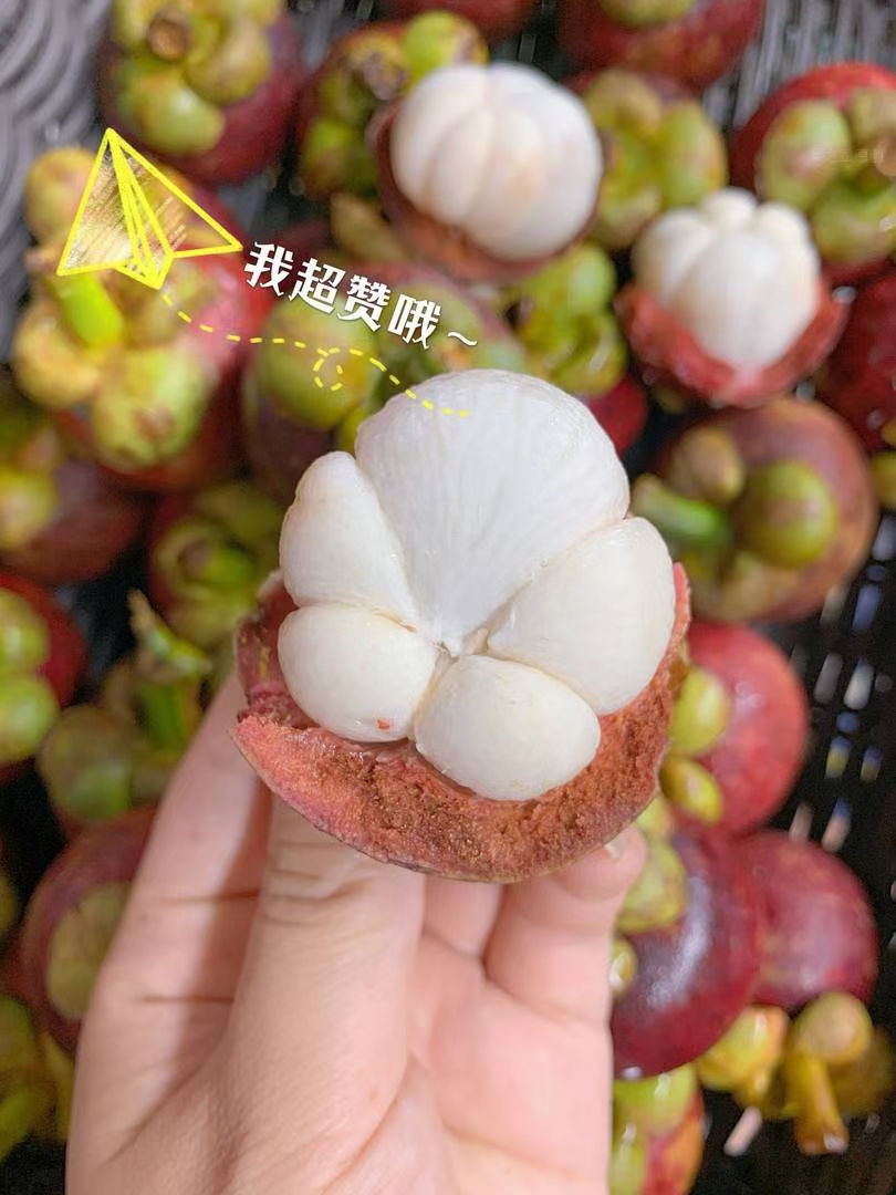 ❤️山竹最新到货！ 春雨绵绵☔️，山竹陪 配图3
