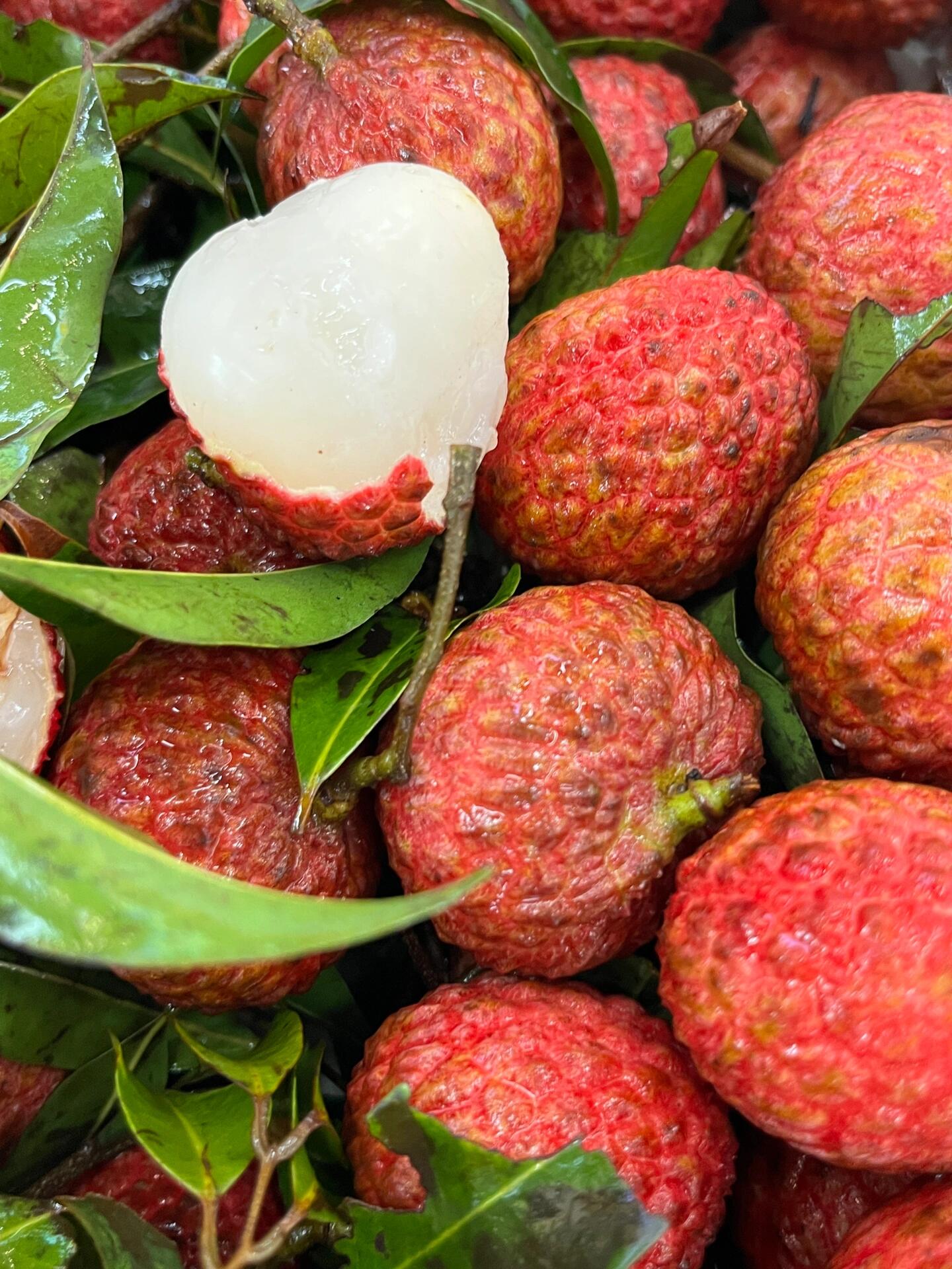 糯米滋•荔枝❤️ 夏日炎炎，有“荔”真甜 配图2