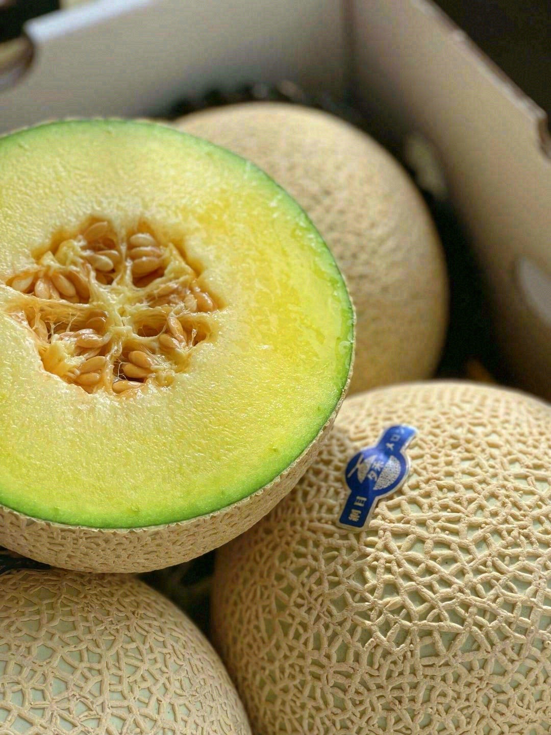 一藤只留一颗瓜🍈，一瓜甜蜜一个人💌 冰激 配图3