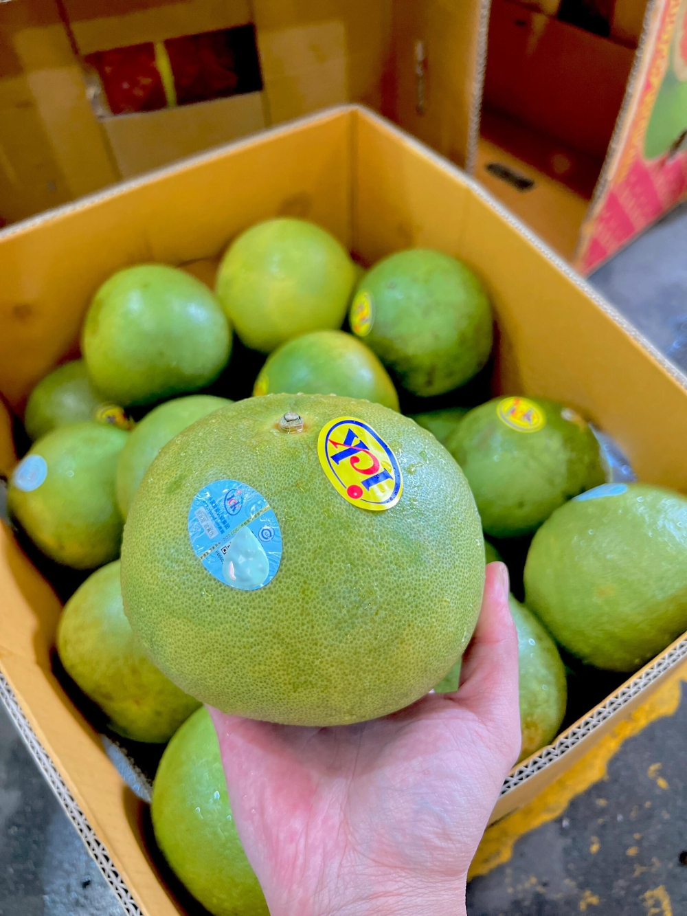 泰国🇹🇭ICK金柚果形丰满，皮薄易剥除， 配图1