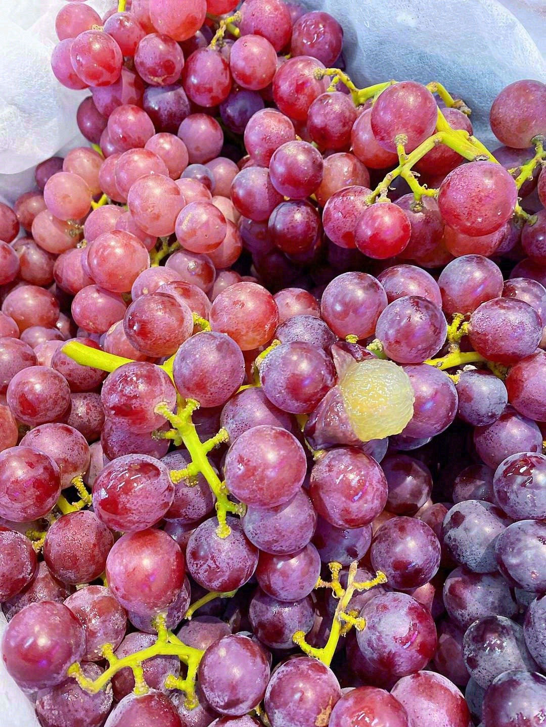 🍇独有的葡萄香气，就是小时候的葡萄味道😍 配图3