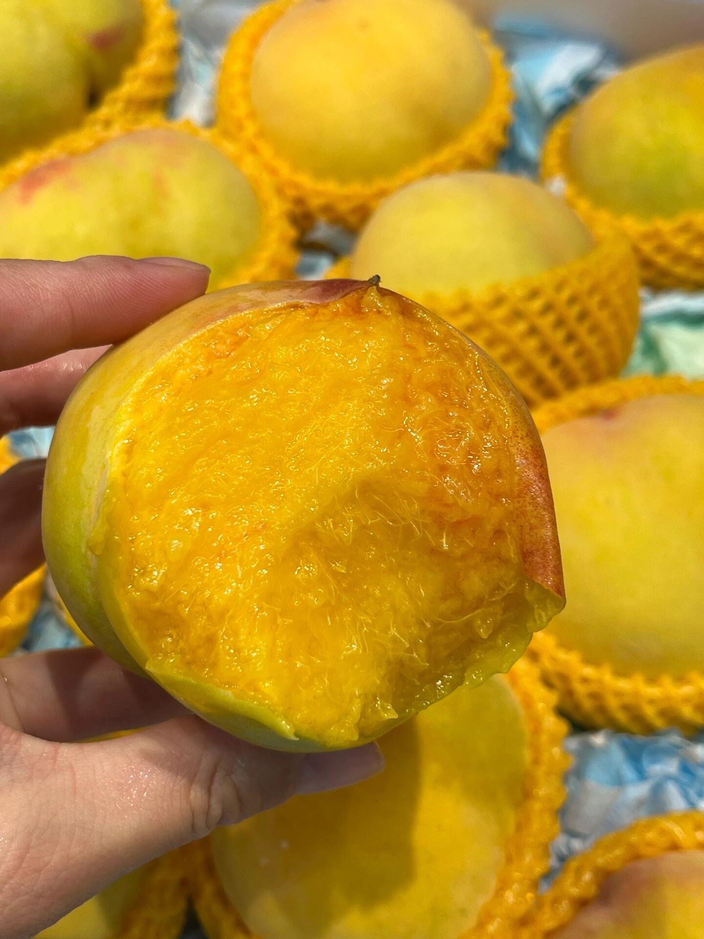 💛黄桃🍑新鲜到货🌱‼️‼️ 有着天下第一 配图3