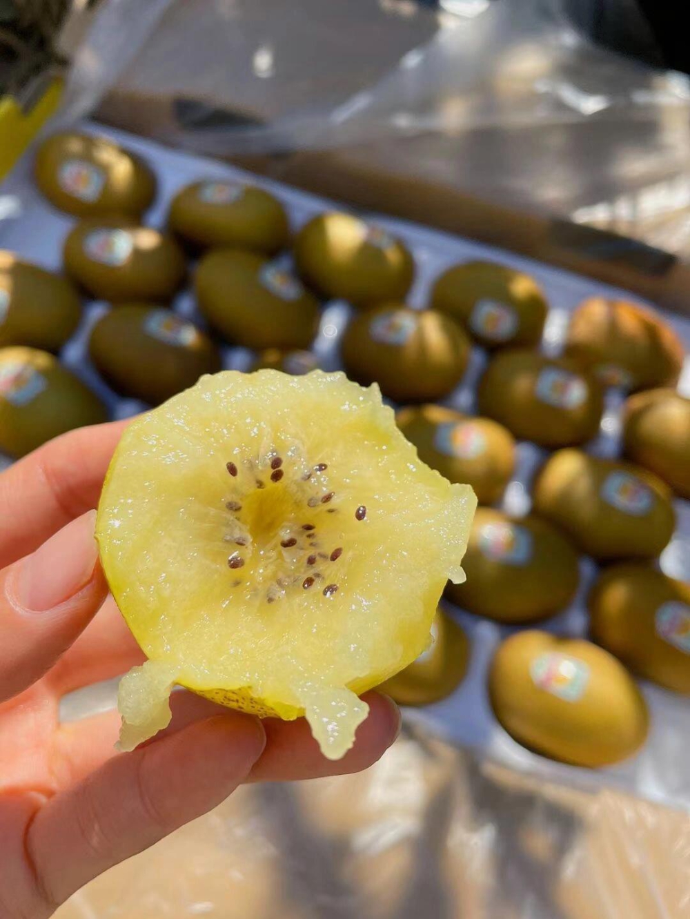 🇳🇿佳沛阳光☀️金果！ 🥝唯一不打农药的 配图1