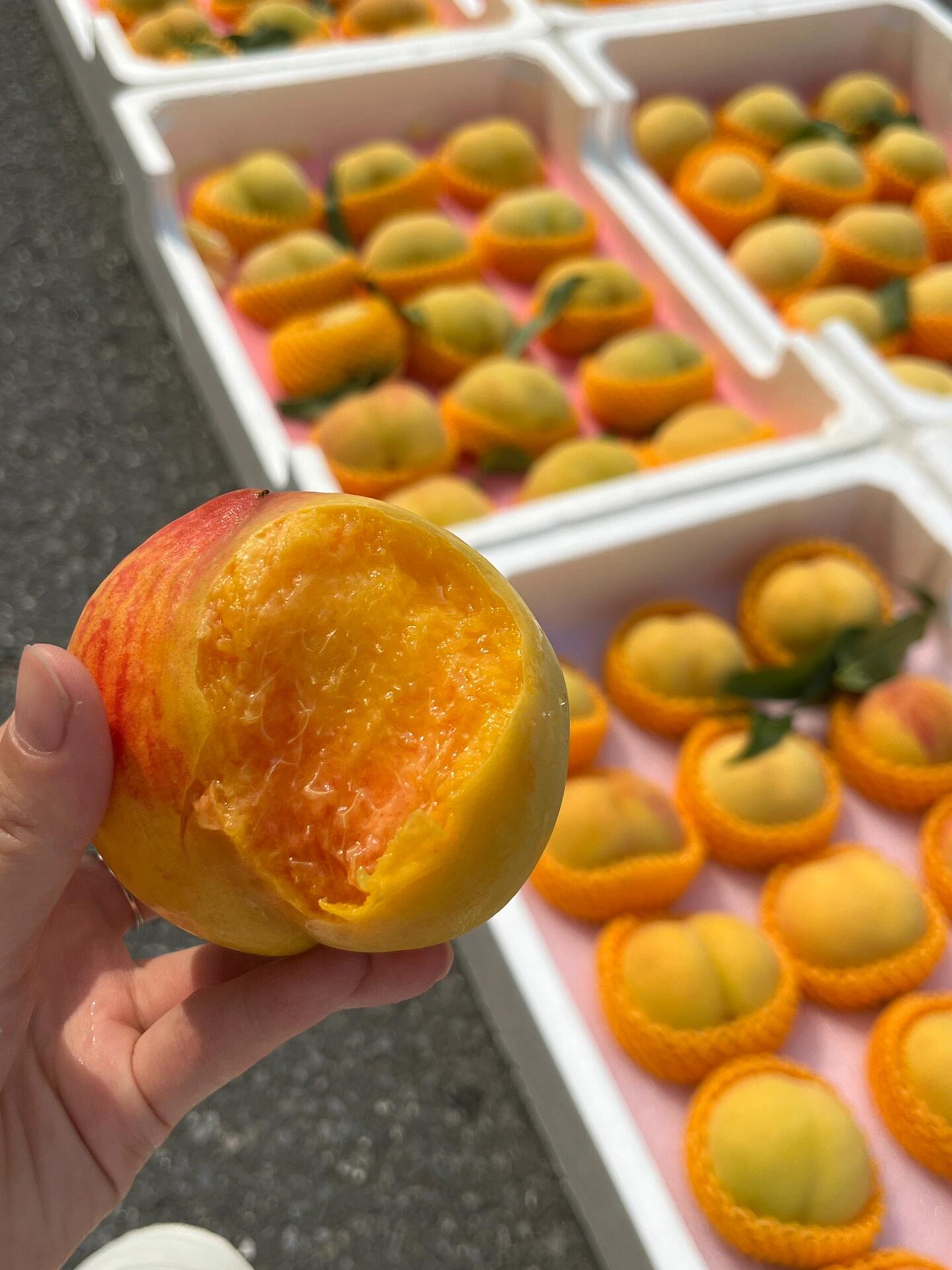 💛黄桃🍑新鲜到货🌱‼️‼️ 有着天下第一 配图3