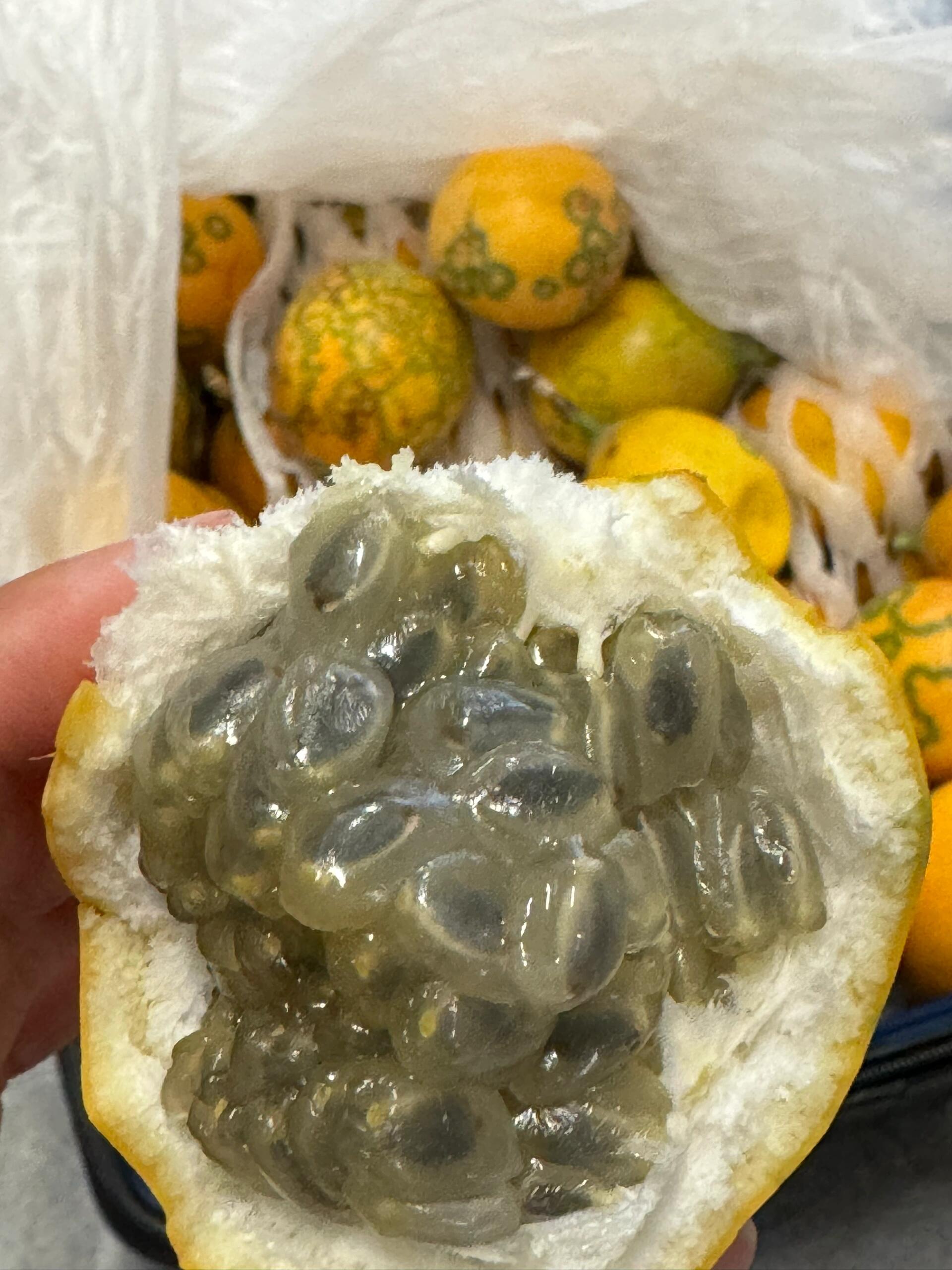 ✨果肉像捧着一把爆珠糖🍭，全部放进嘴里💦 配图2
