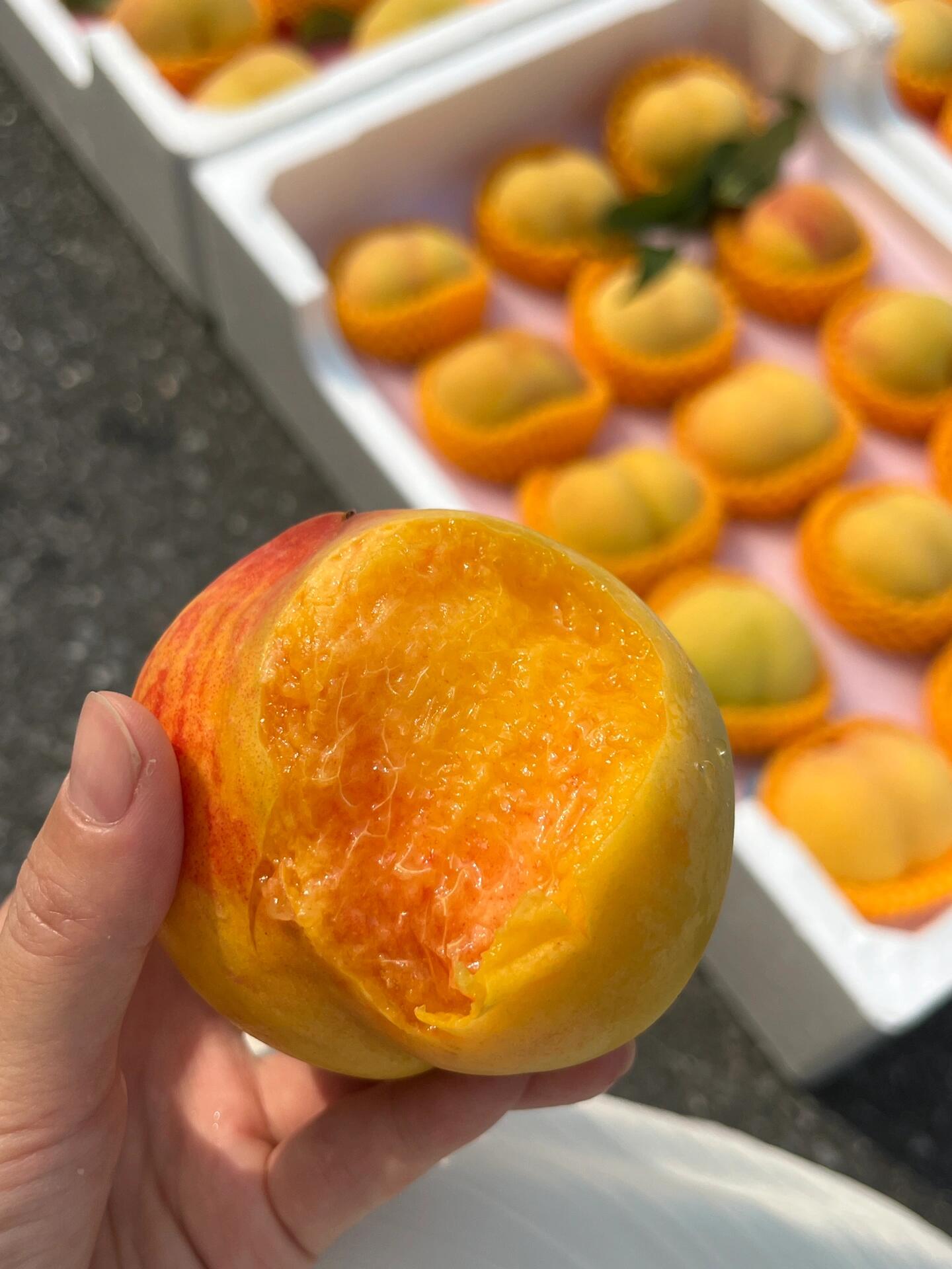 💛黄桃🍑新鲜到货🌱‼️‼️ 有着天下第一 配图2
