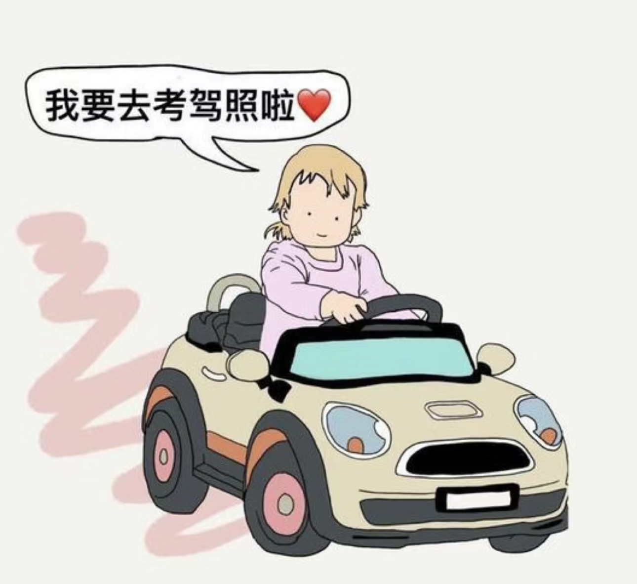 ❎我们不生产驾照 我们只是您学车的引路人 配图1