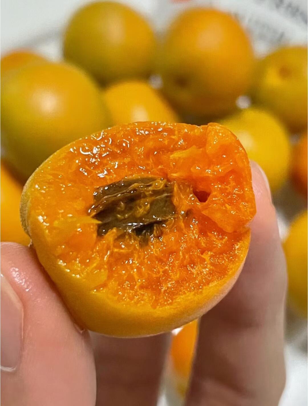 🍃新疆吊干杏💚盛夏，正是吊干杏成熟的季节 配图2