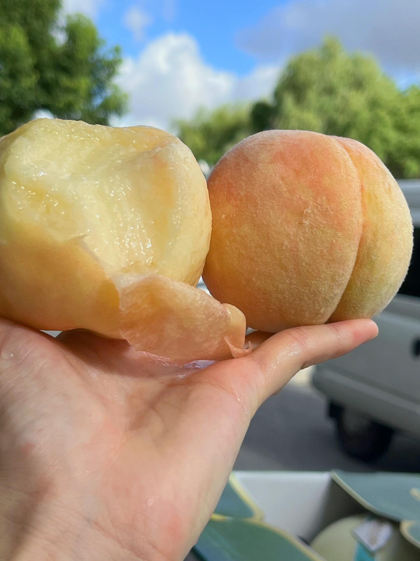 🍑万众期待，满口香甜的水蜜桃来啦！ 🍑真 配图2