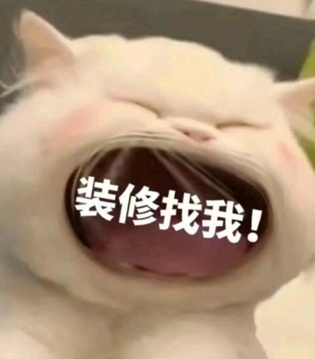 六月已过半，我要开始冲业绩了 发圈数量不
