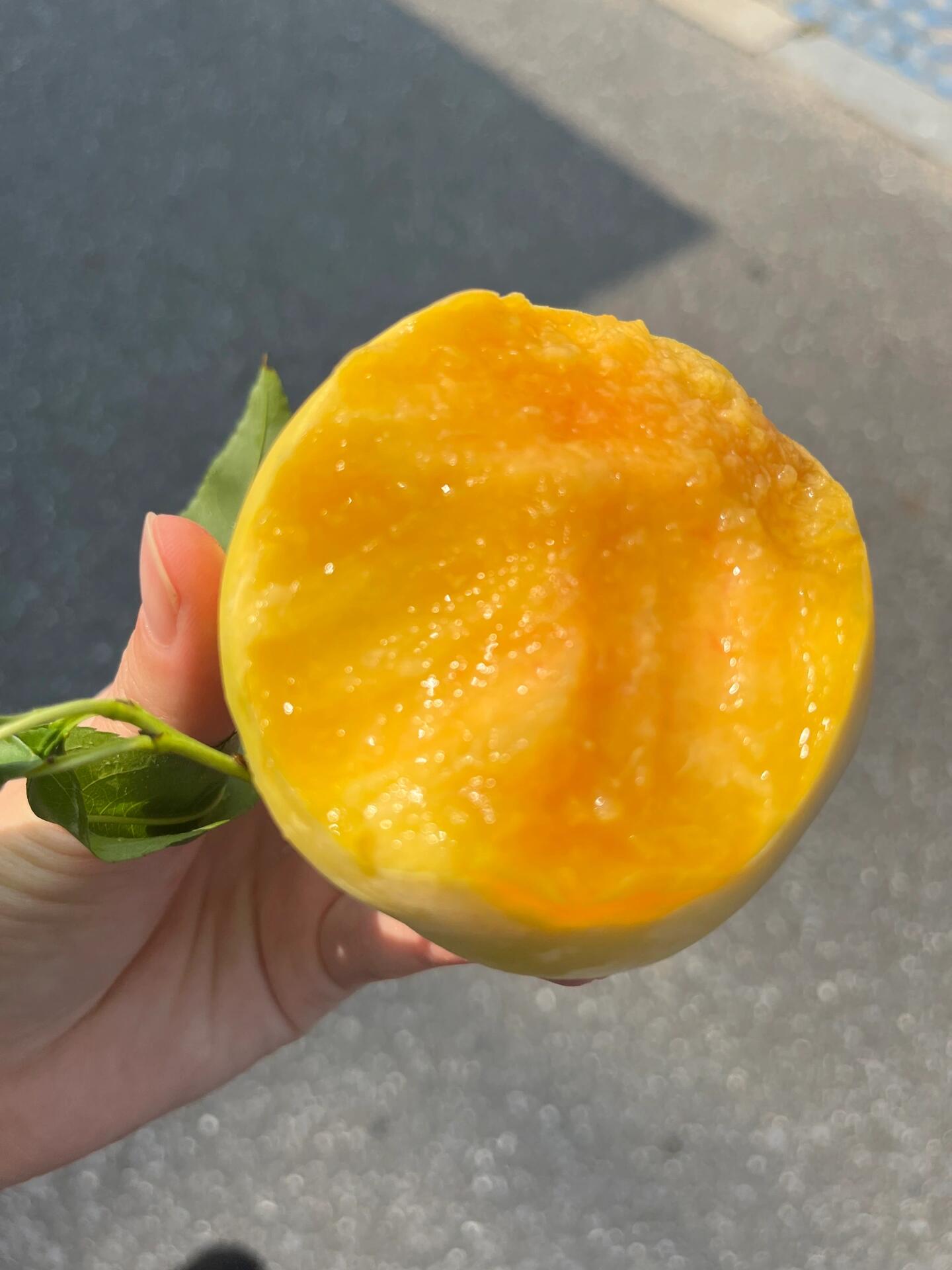 🍑 黄桃新鲜到货‼️ 营养丰富✨ ，桃香 配图2
