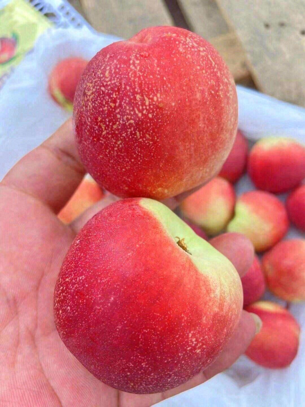 🌈一种水果，两种享受，三分枣味，七分桃味 配图2