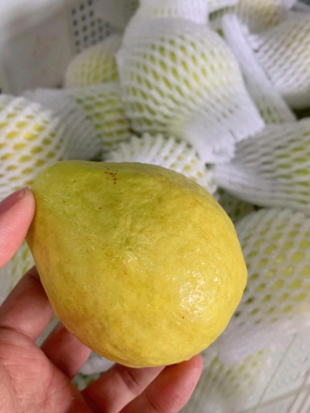 🌟黄金奶油芭乐✅回归放到微软的程度 撩人 配图3