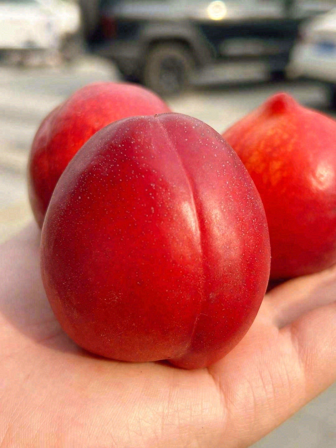 🍑果肉淡黄淡黄的，口感甜蜜略带一点点的酸 配图3