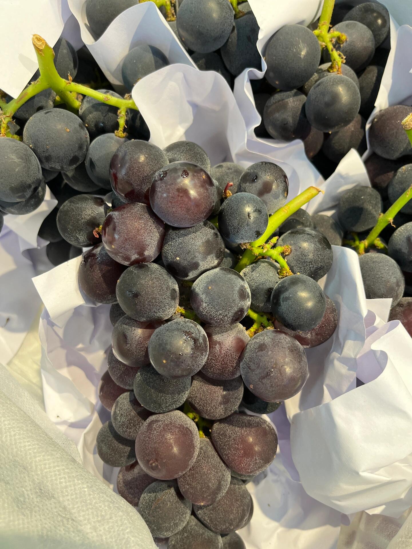 到货🔥巨峰葡萄🍇 香、脆、甜‼️入口细细 配图2