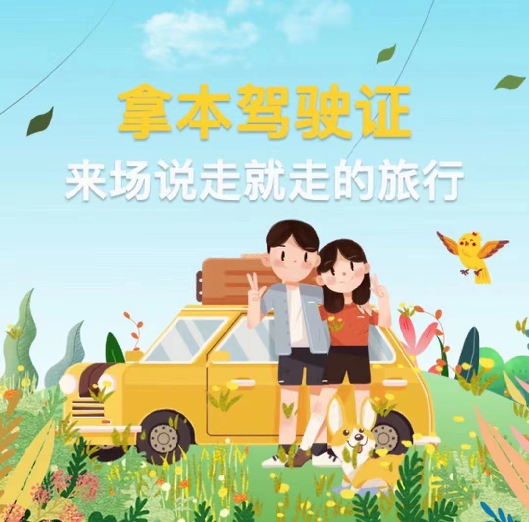 👉驾照这东西 ❤️需要时才知道“她的重要 配图1