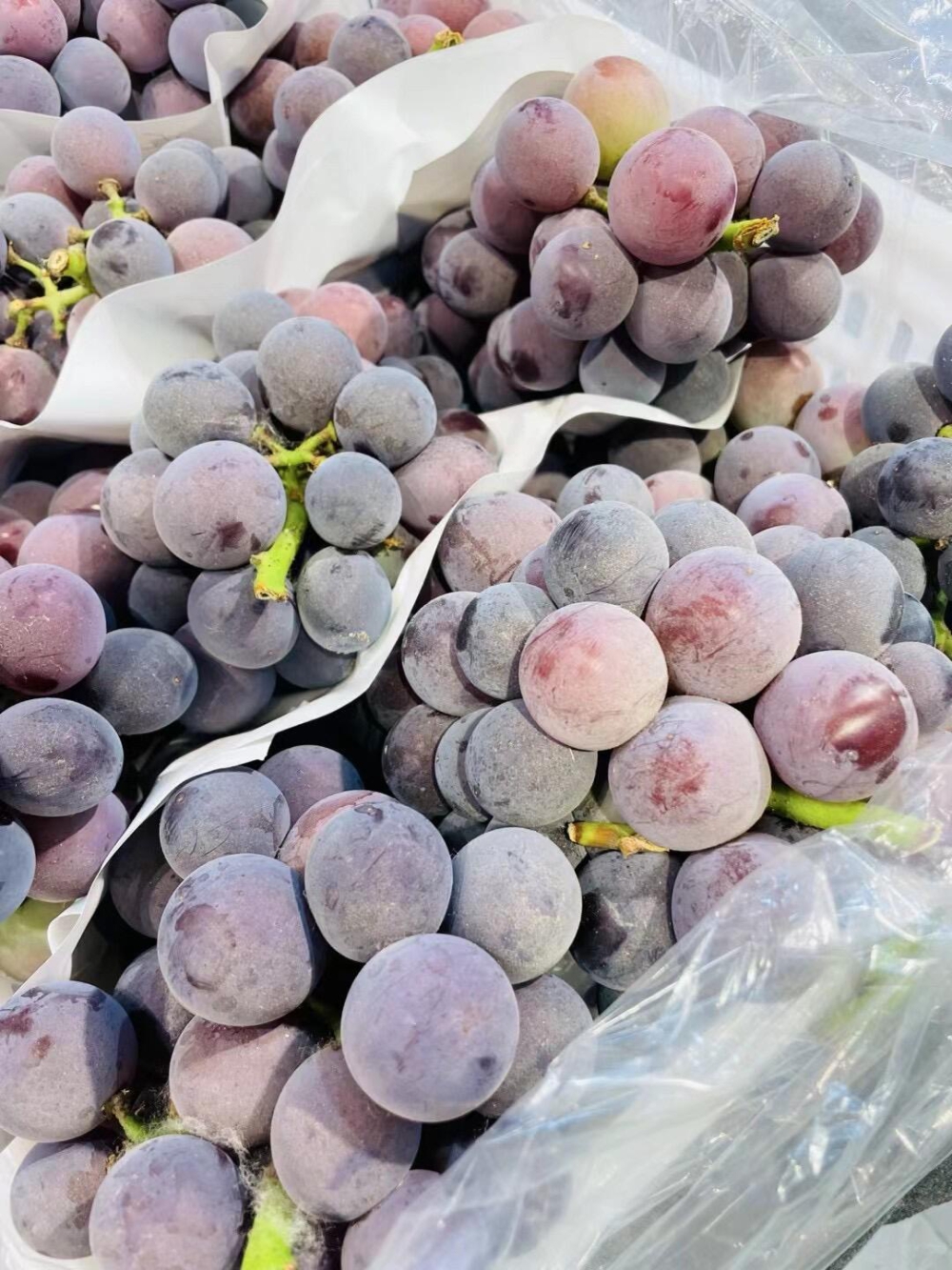 🥰大家有爱吃葡萄的嘛？这个巨峰葡萄🍇也太 配图2