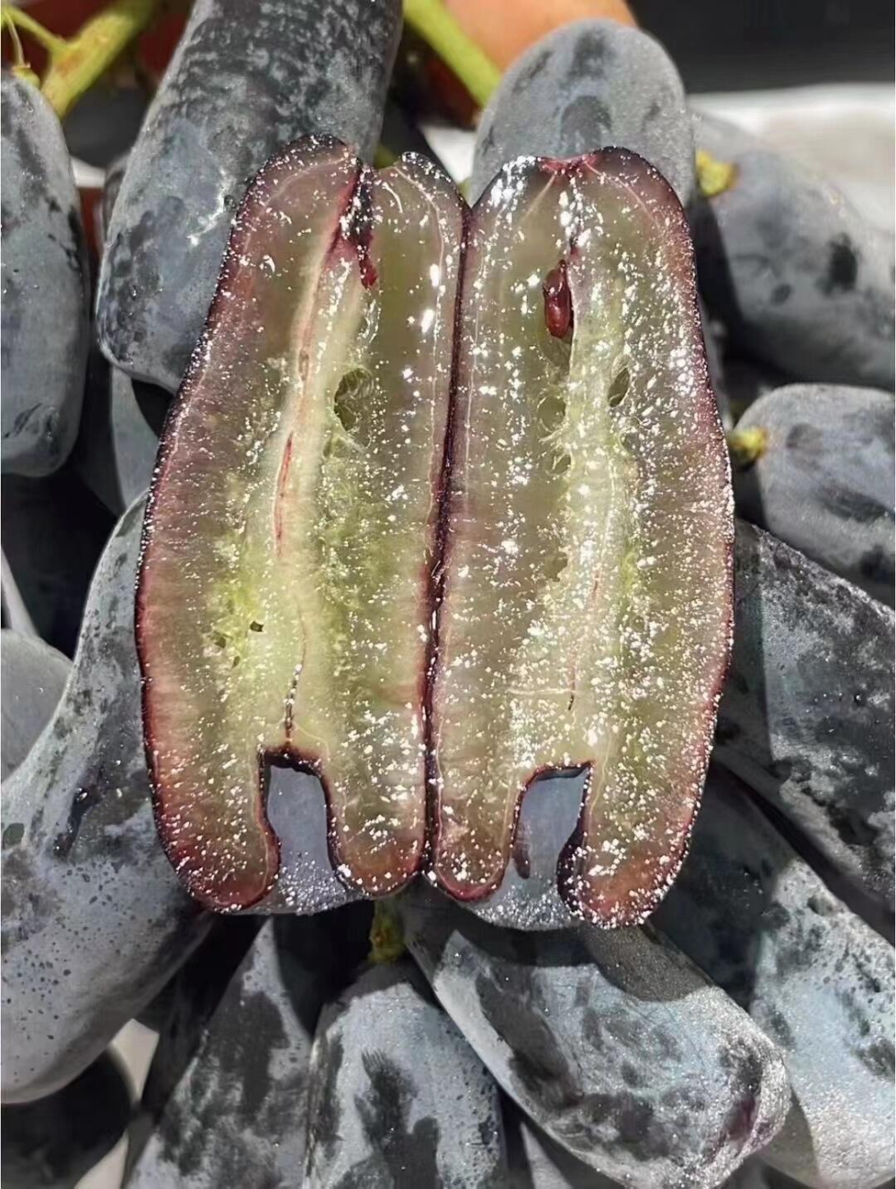 💚来自国内的月光之泪金手指🍇 ☀阳光下的 配图1