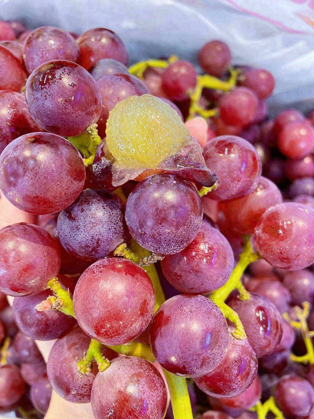 🍇独有的葡萄香气，就是小时候的葡萄味道😍 配图2