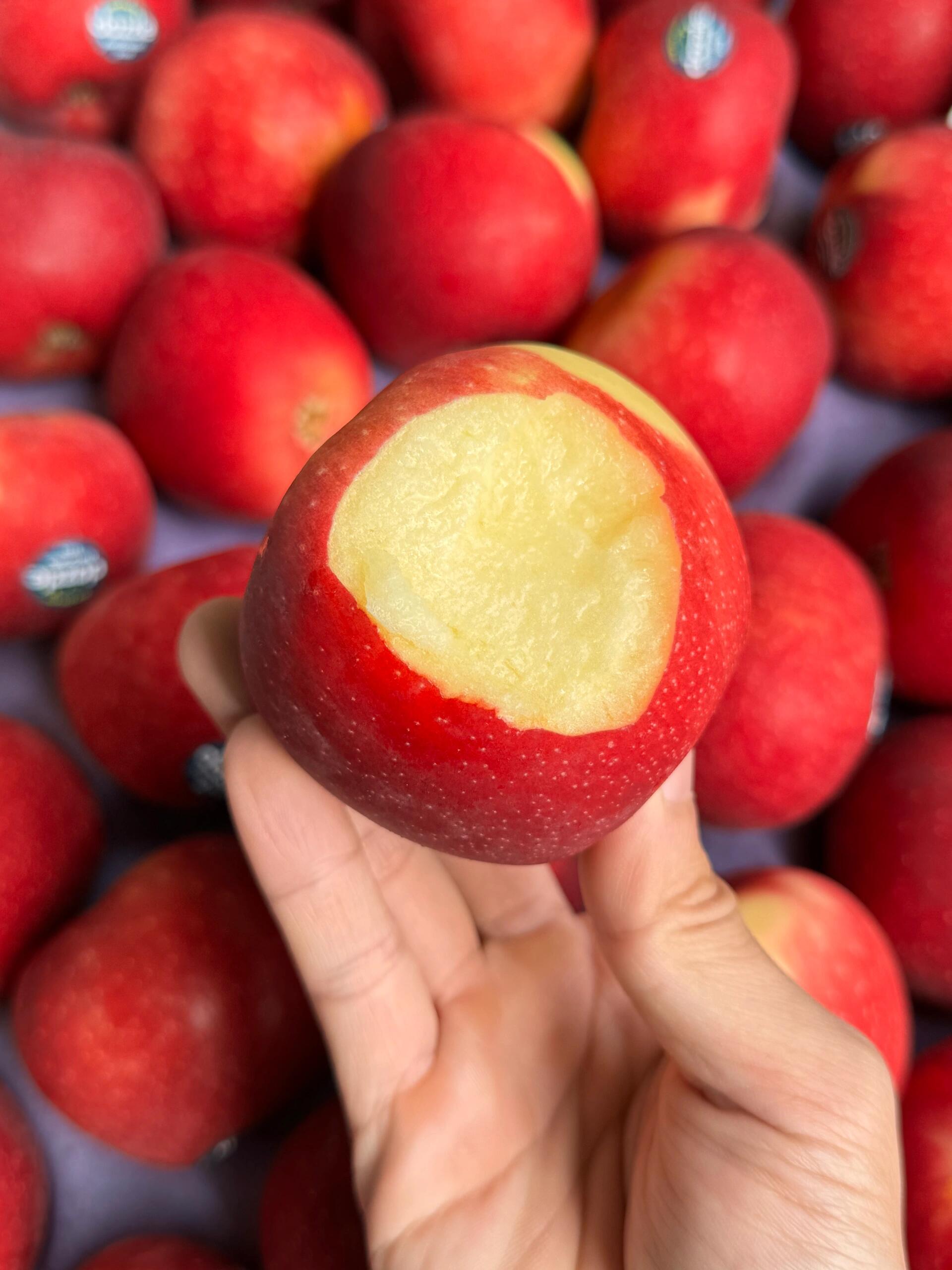 新西兰🇳🇿红玫瑰苹果🍎应季的新鲜||新西 配图3