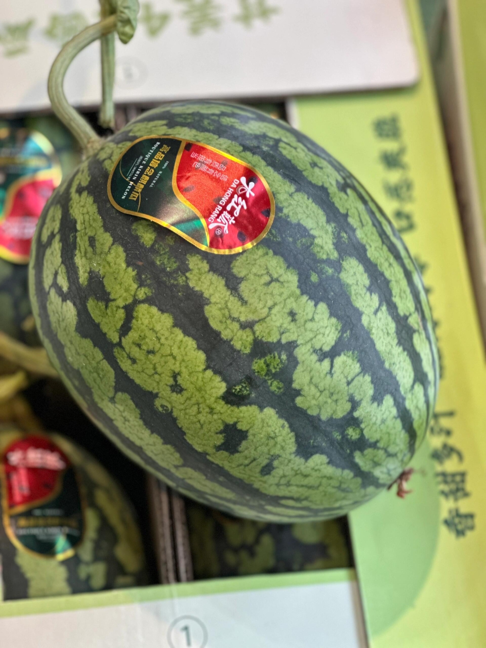 简直是梦中情瓜啊😍甘美4K战神西瓜真的无 配图3