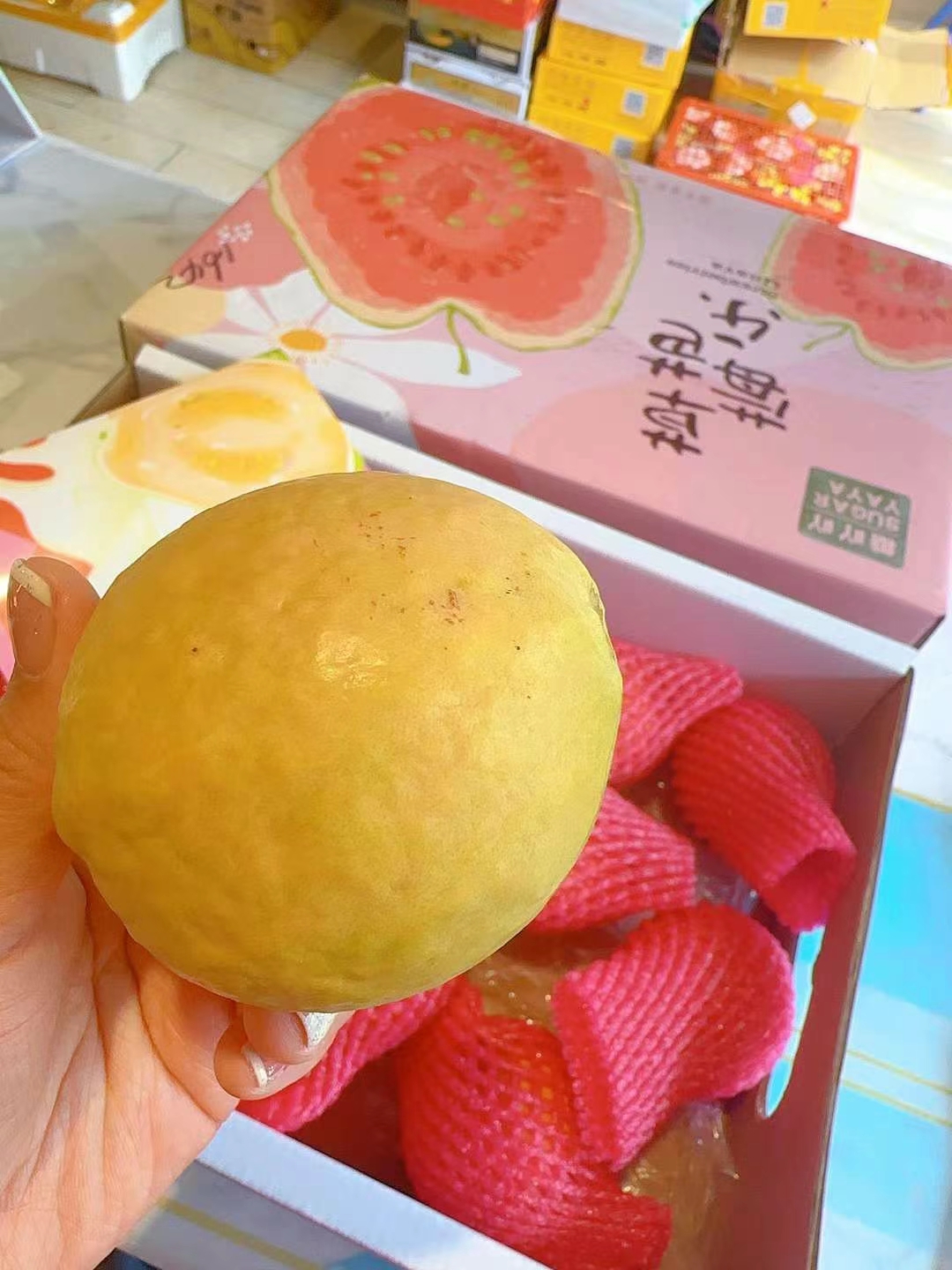 🌈草莓红芯芭乐 那真叫一个满屋飘香呀❣️ 配图3