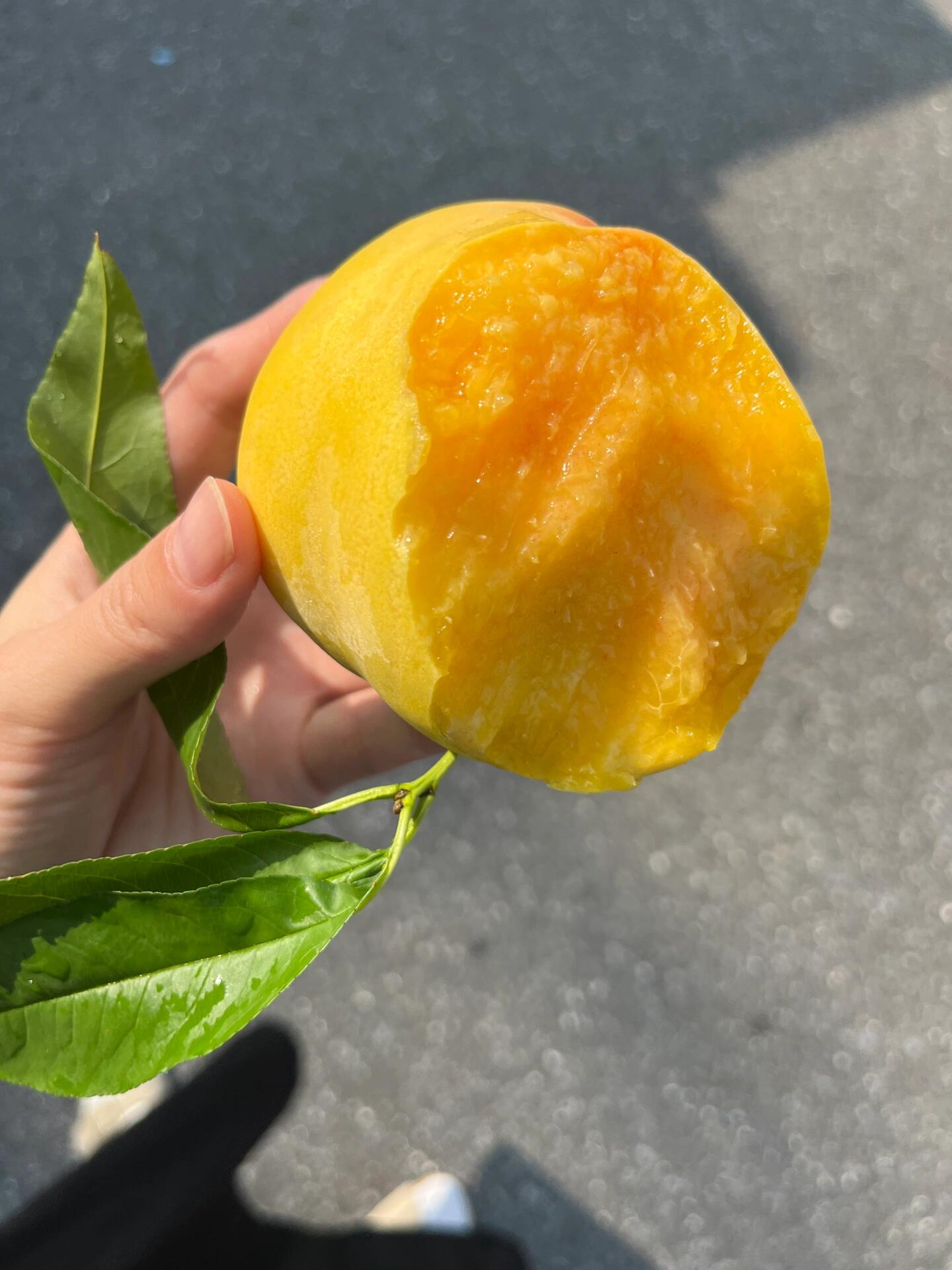 🍑 黄桃新鲜到货‼️ 营养丰富✨ ，桃香 配图3