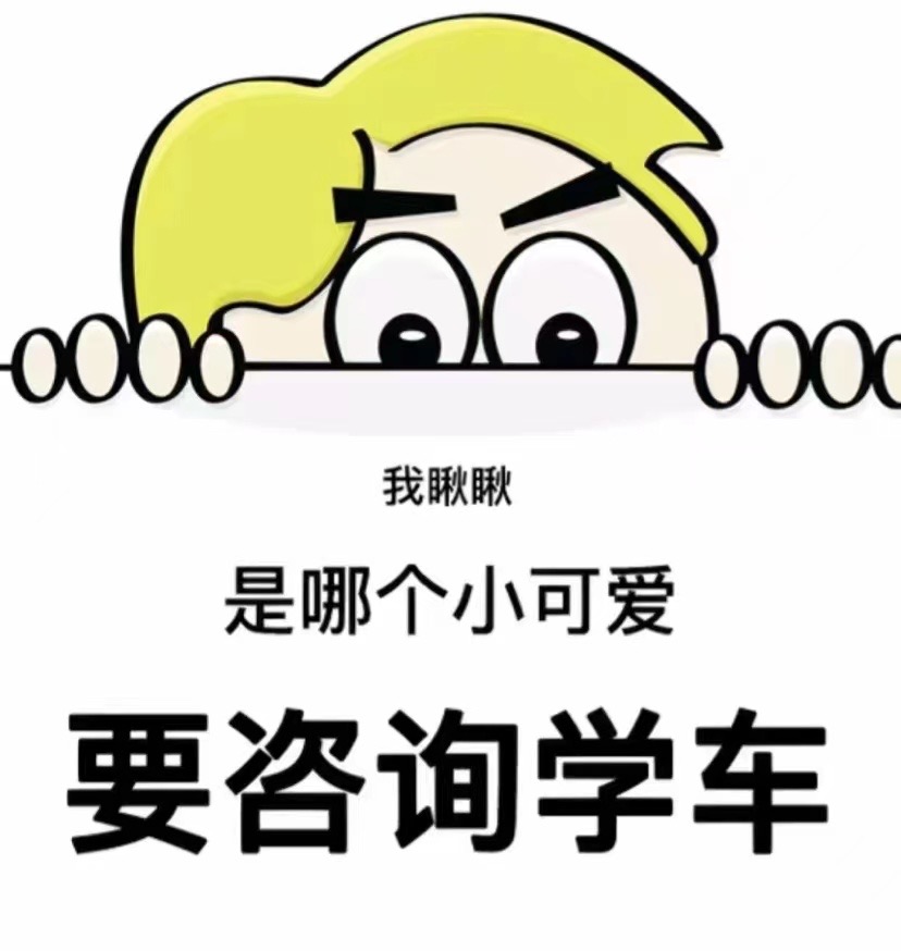 学驾照 要宣传 但不打扰 在这即将来临的