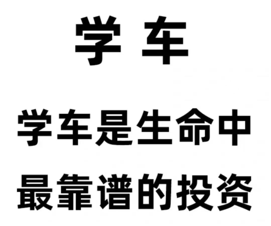 这大概就是学车的意义 📝考本驾照买个车 