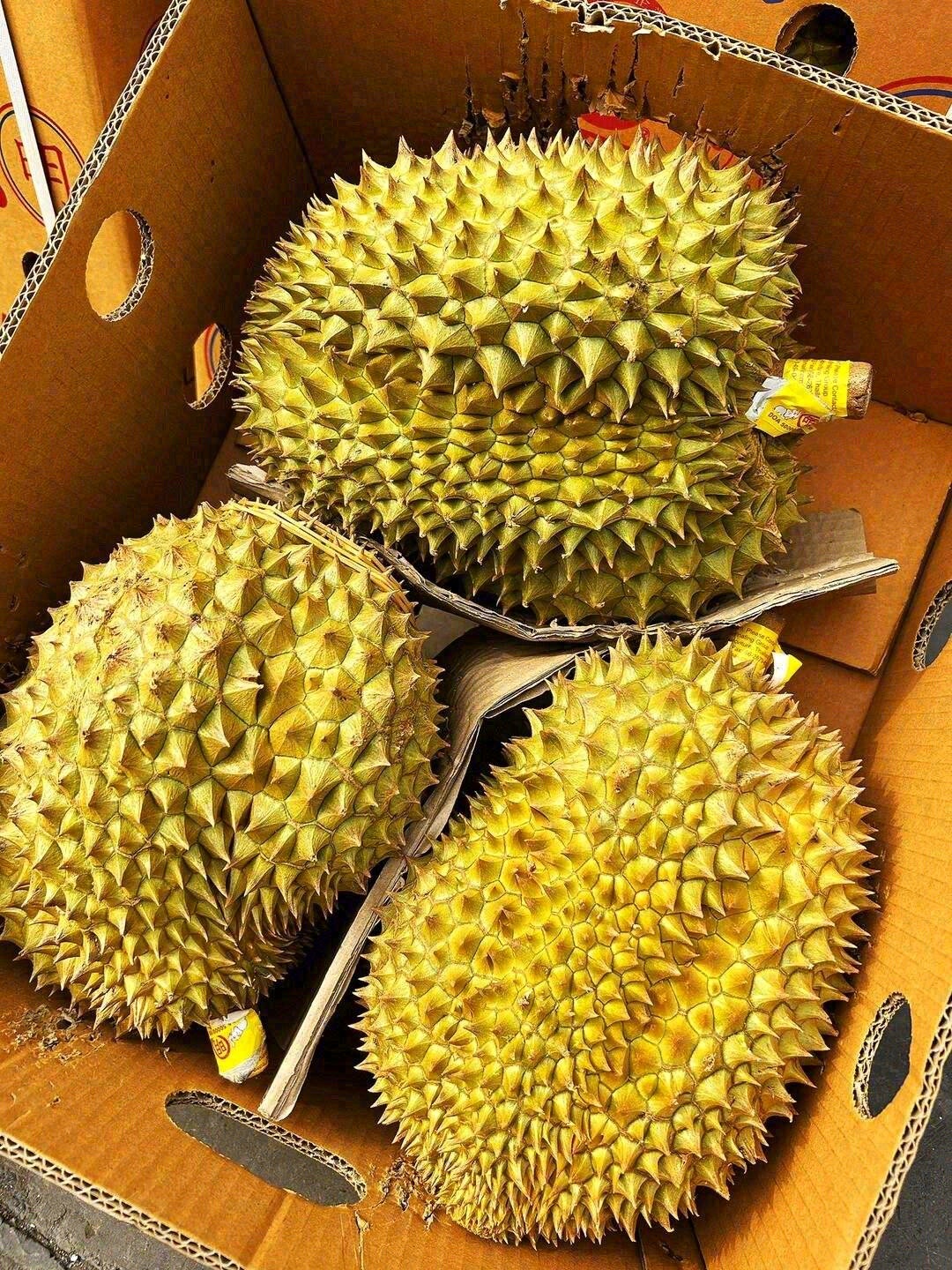 果实丝般光滑嫩黄?，仿佛盛开的花朵?；  配图2
