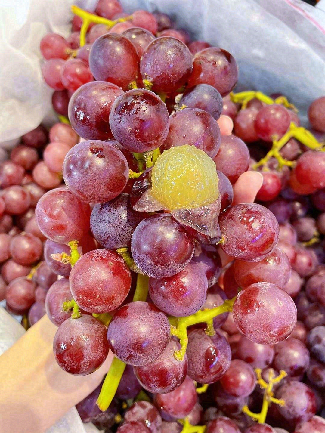 🍇独有的葡萄香气，就是小时候的葡萄味道😍 配图1