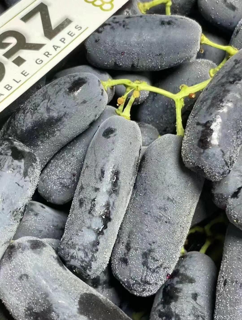 💚来自国内的月光之泪金手指🍇 ☀阳光下的 配图2