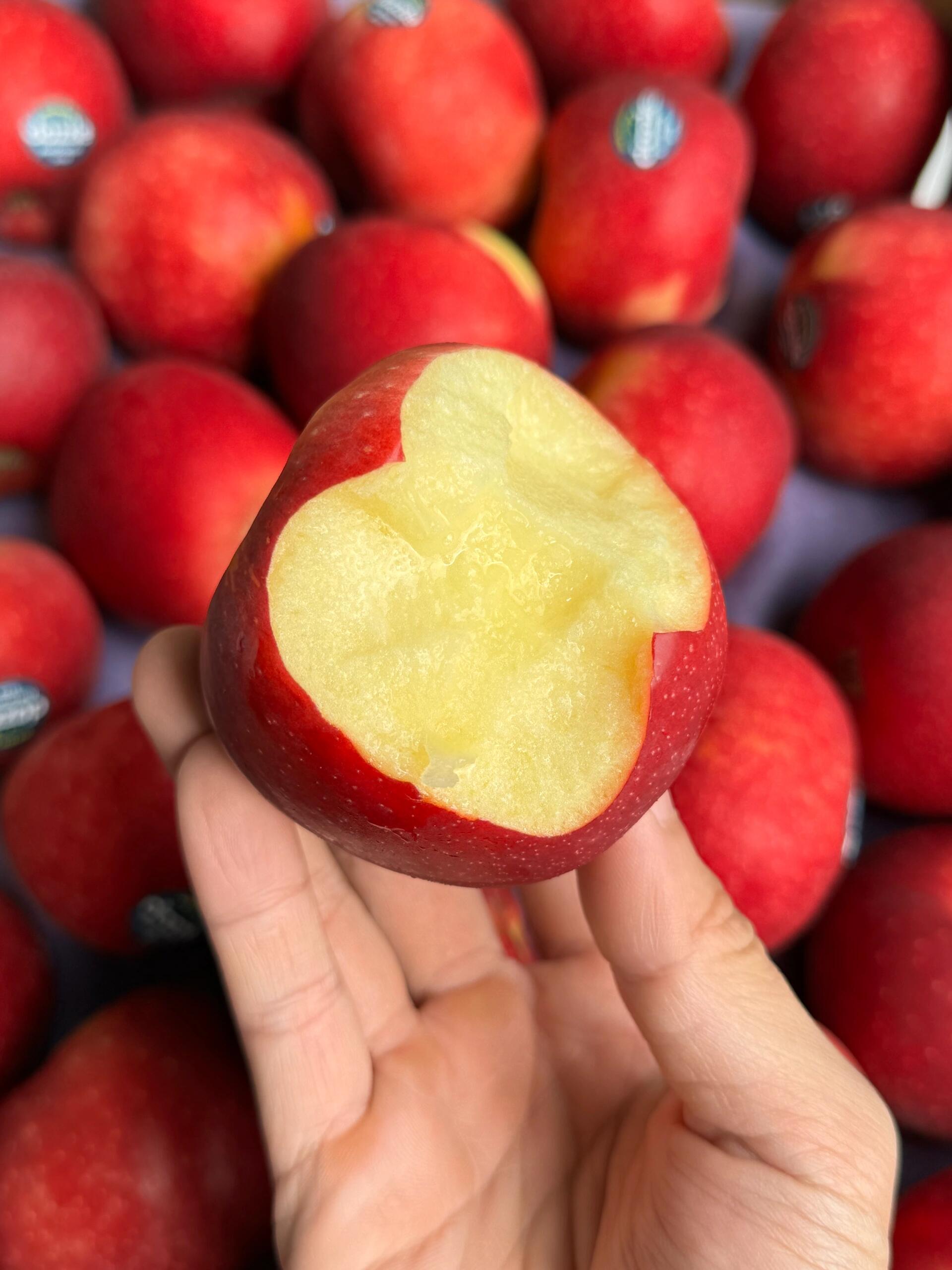 新西兰🇳🇿红玫瑰苹果🍎应季的新鲜||新西 配图1