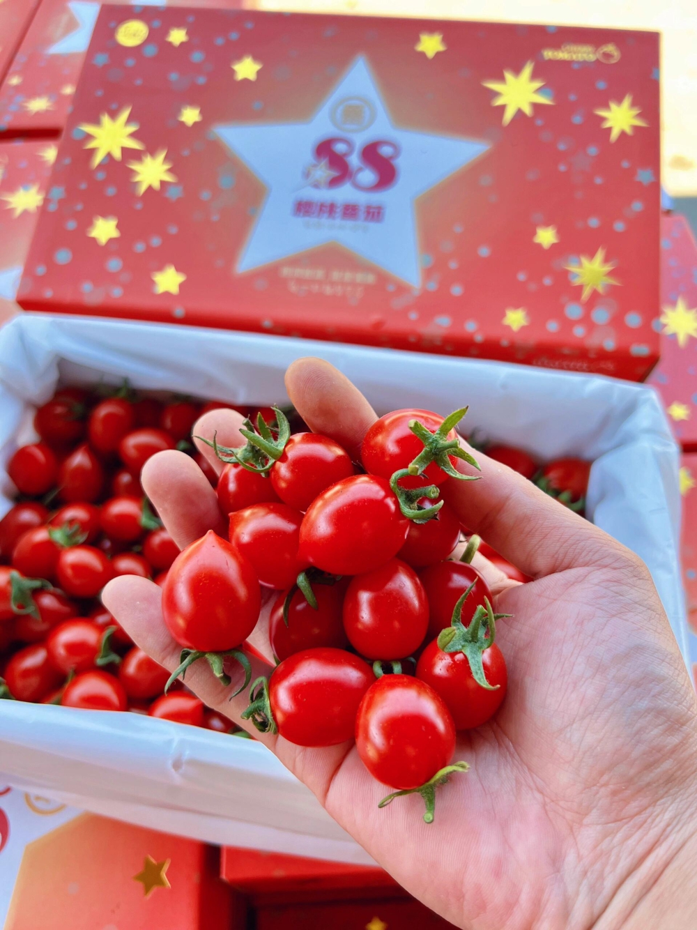 🍃🍃好吃的樱桃小番茄来了🍅这款真的超好吃 配图1