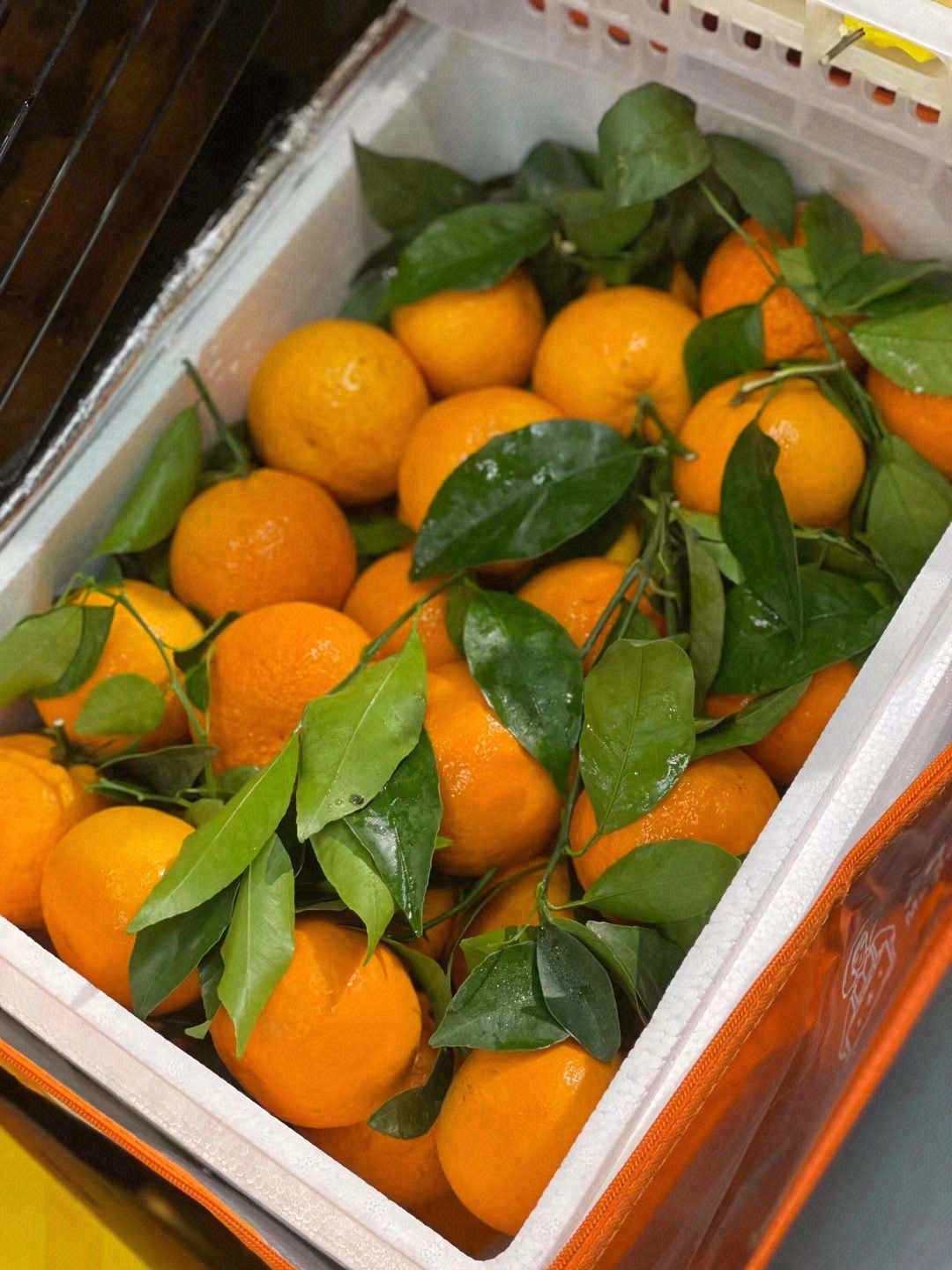 🍊鼻尖轻轻嗅一嗅，自然的气息便会扑面而来 配图3