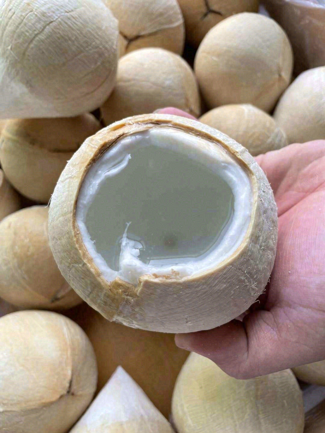 最纯净的"水"，居然带奶香味 ?脆脆嫩嫩 配图3