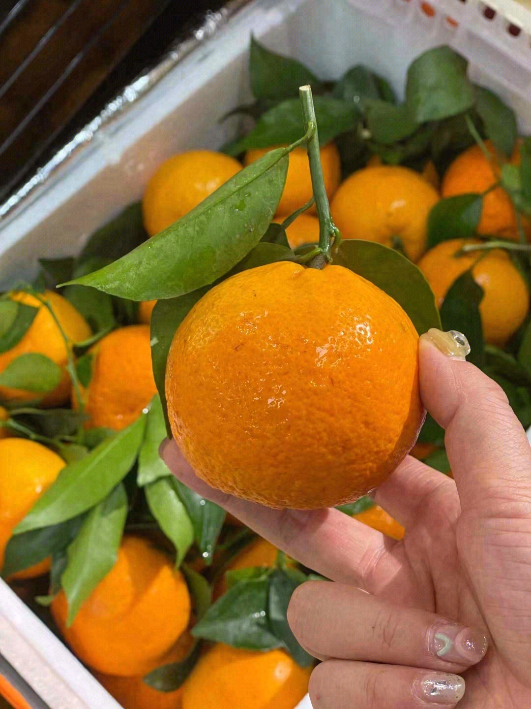 🍊鼻尖轻轻嗅一嗅，自然的气息便会扑面而来 配图1