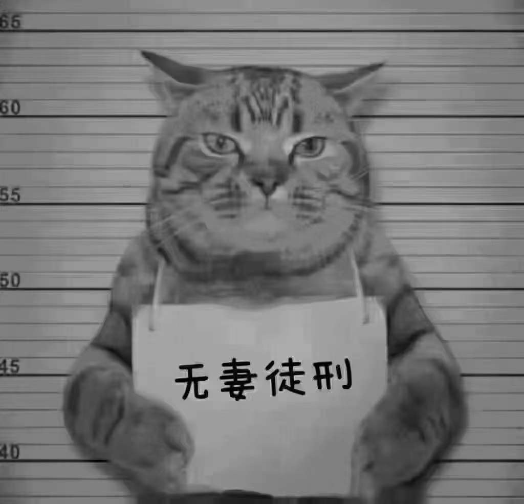 不装修会判刑吗？ 会，‮无判‬妻 ​因为