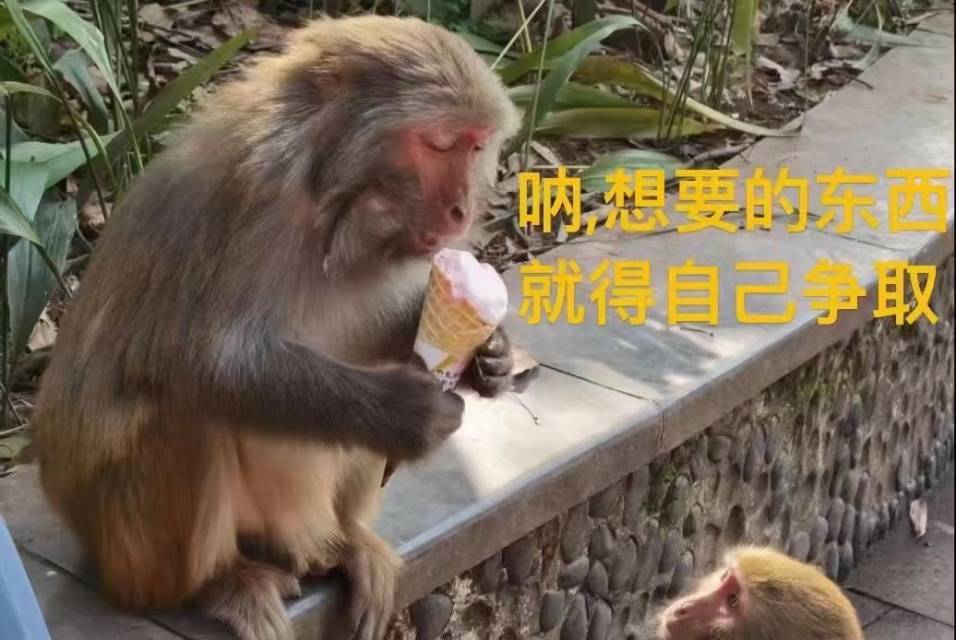 每天的㍙㍚㍛㍜㍝㍞㍟㍠㍡㍢㍣㍤㍥㍦㍧㍨㍩