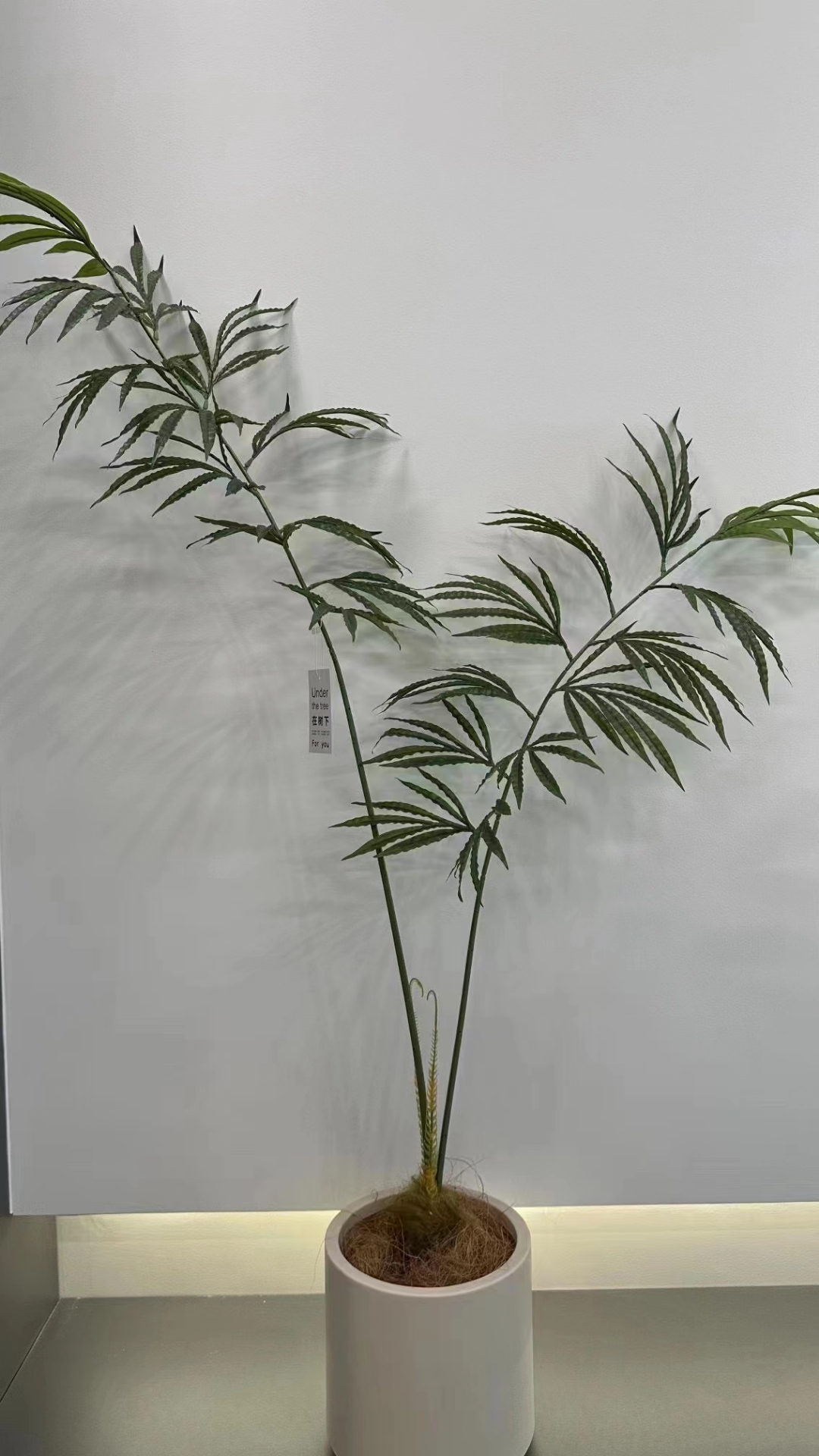 软装天花板<br>赶紧抄作业吧[爱心]< 配图3