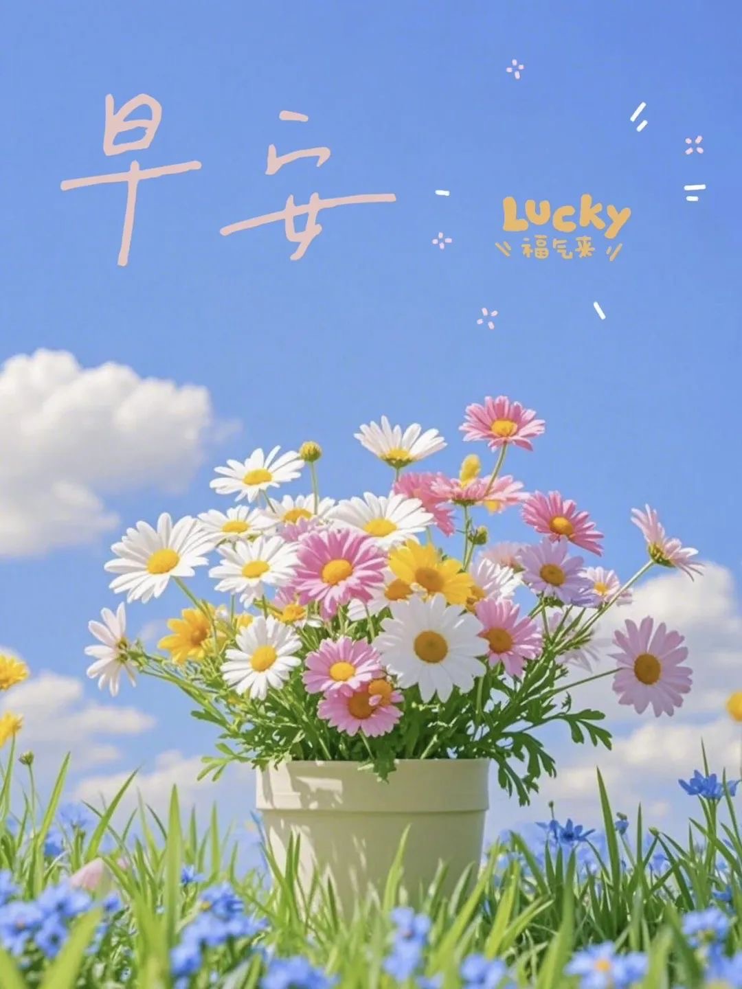 大胆点来问个价， 第一：咨询不收费， 第
