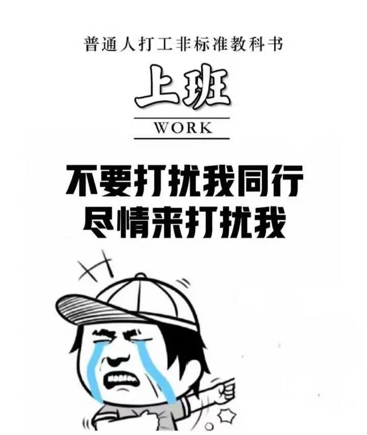 终于把同行都熬回家了， 你们装修可以找我