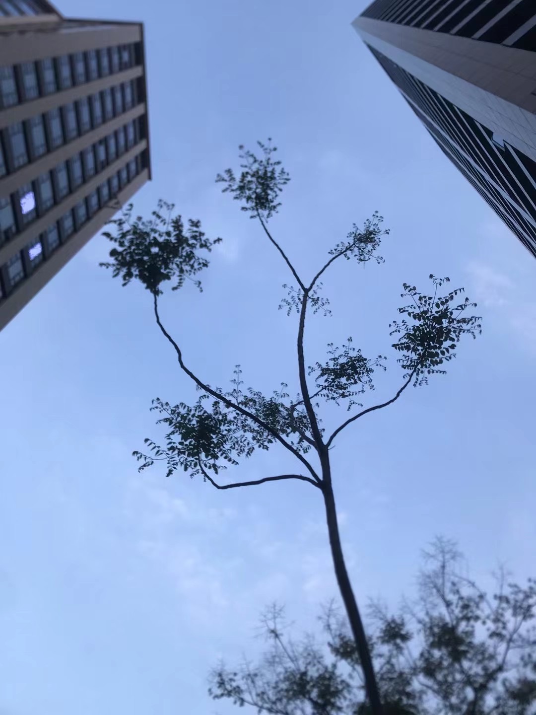 全屋有温，生活有度 ​可俗可雅，自在掌握