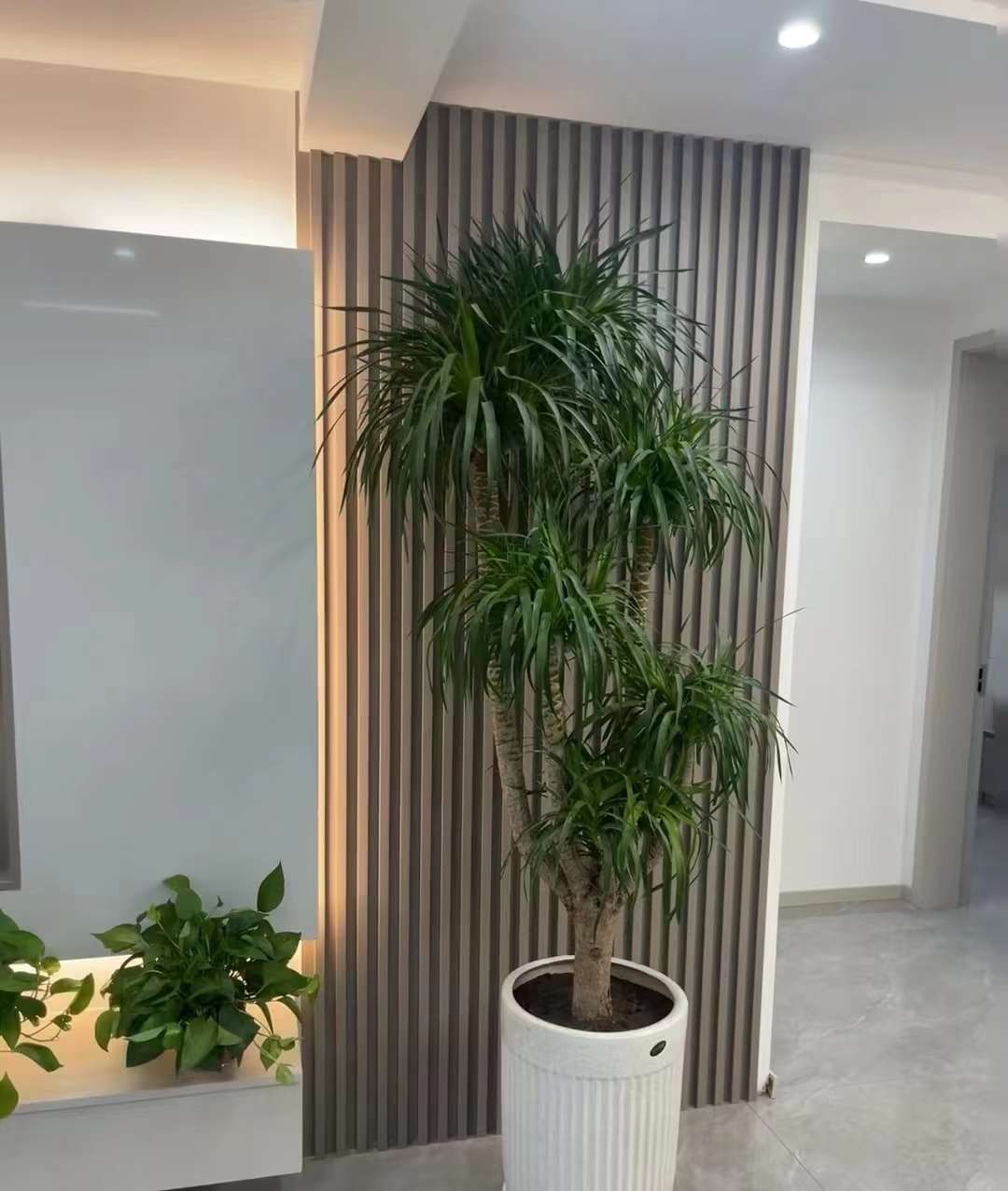 装修前是期待，装修时是辛苦，装修好是等待 配图3