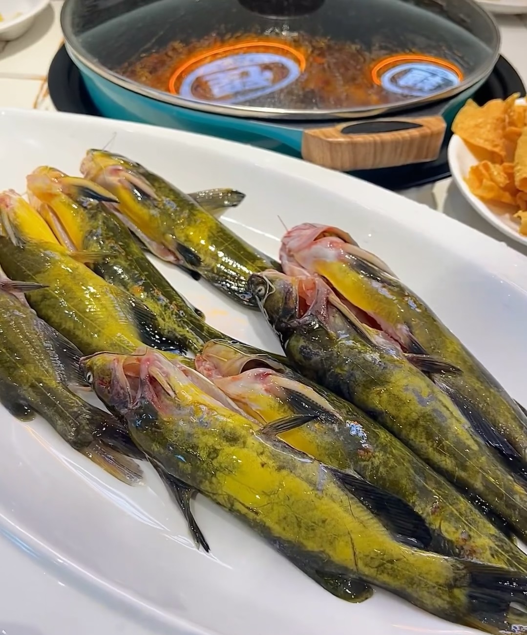 黄拉丁鲜鱼锅 活鱼现杀！！每一条鱼都鲜活 配图1