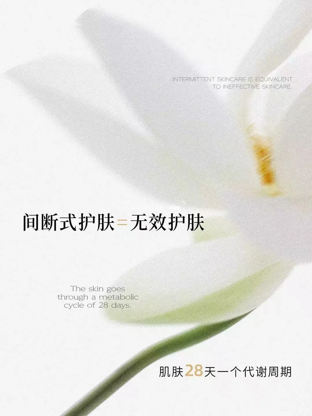 正确护肤理念✅ 肌肤28天一个代谢周期 